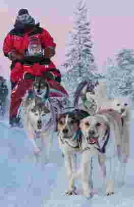 Lapland Winter Adventure